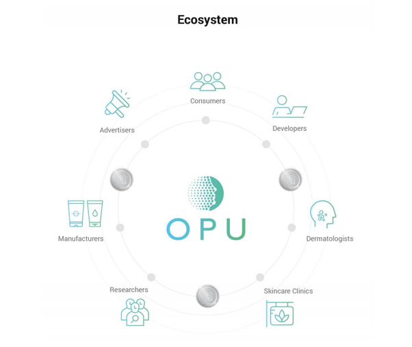 opu ecosystem.png