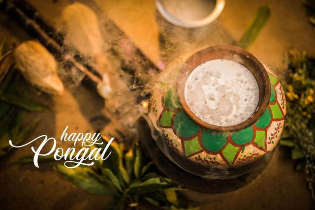 2020-pongal-3.jpg