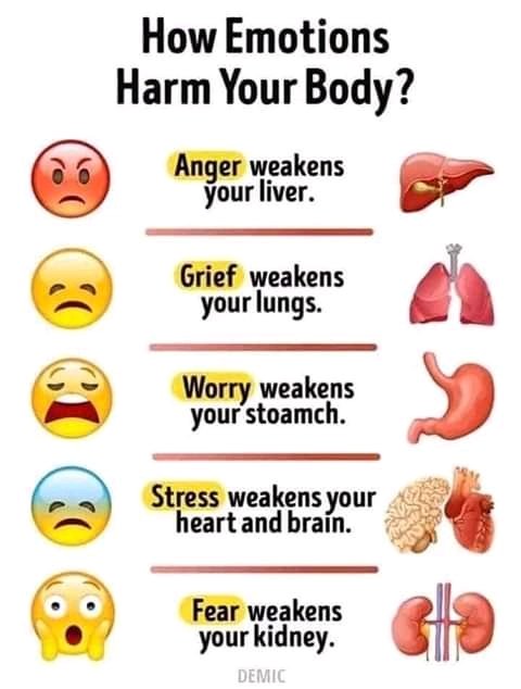 FB_IMG_16007597711923574.jpg