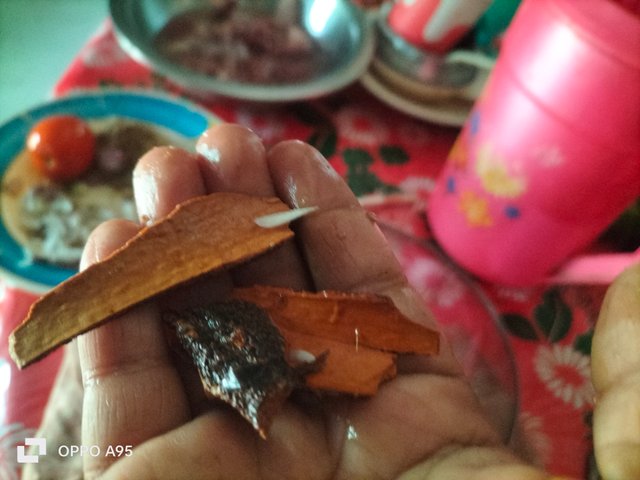 IMG20250309102902.jpg