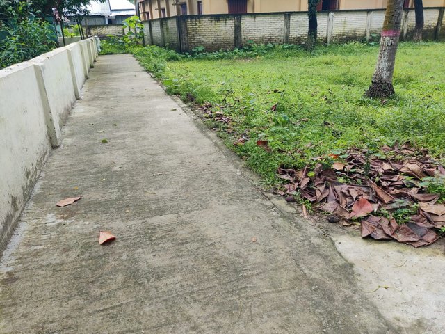 1000051029.jpg
