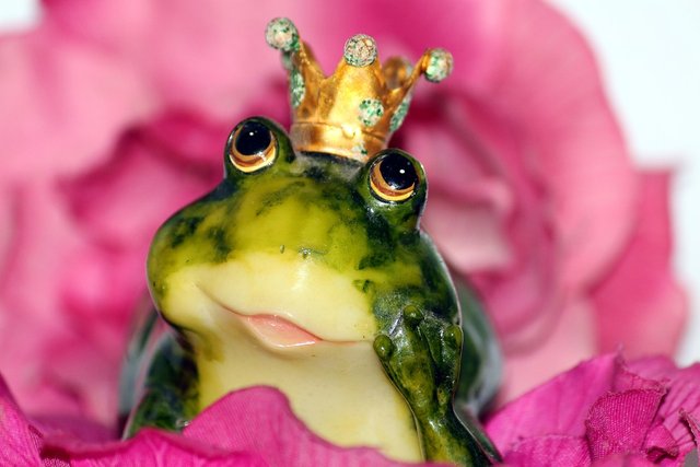 frog-prince-1370022_960_720.jpg