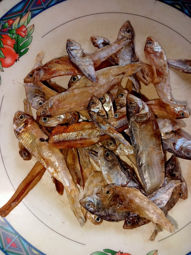 IMG20250617154430.jpg