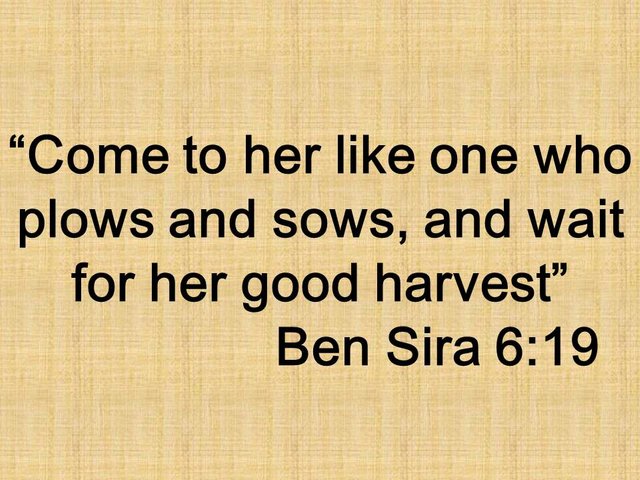 Wisdom hunter in the Bible. Come to her like one who plows and sows, and wait for her good harvest. Ben Sira 6,19.jpg