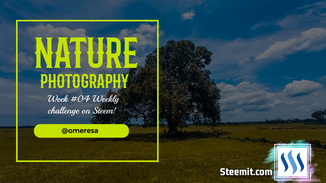 Week #04 :Weekly challenge on Steem! Nature Art/Photography Contest ||Best of Bangladesh.png