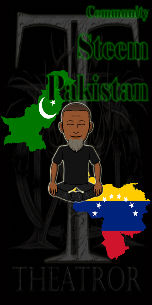 13 Steem Pakistan ingles.png