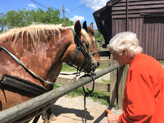 Nannie horses Pokagon (2).png