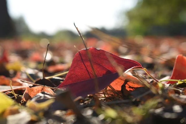 c2391b657b096eb74097