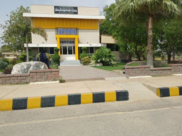 1000263324.jpg
