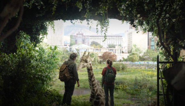 the-last-of-us-giraffe-joel-ellie-pedro-pascal-bella-ramsey-900x515.jpg