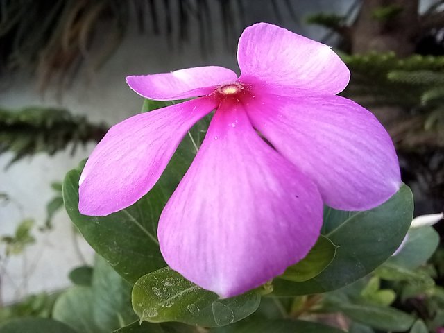 20221011_144924.jpg