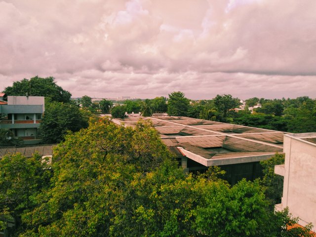 IMG_20200917_150814-01.jpeg