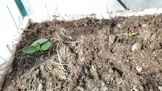 VideoCapture_20190519-144247.jpg