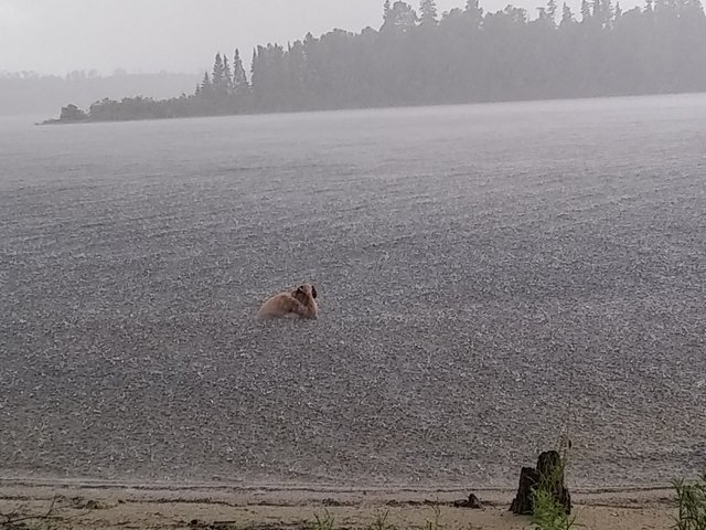 Quetico Canoe 12b.jpg