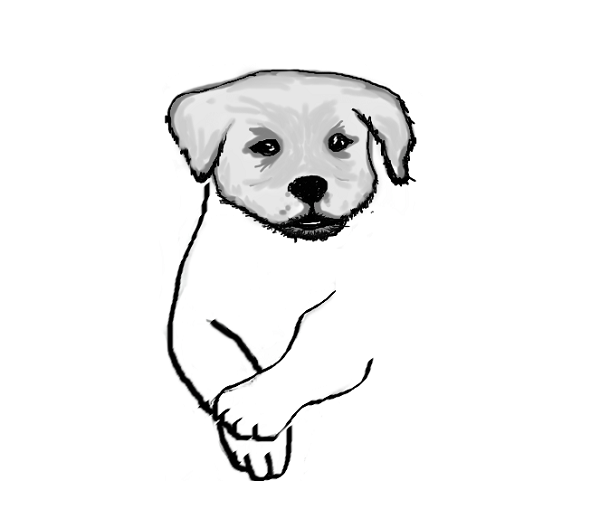 walking-dog-sketch-2.png