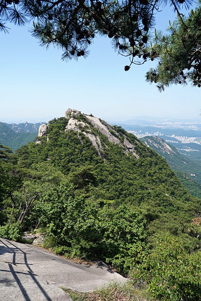 b-DSC04726.JPG