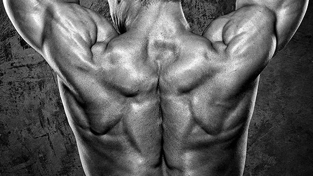 A-New-Exercise-for-Upper-Back-and-Traps.jpg