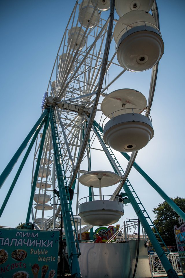 DSC_6502.jpg