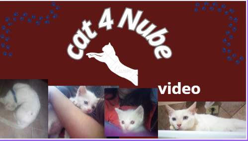 4.PNG