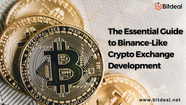 The Essential Guide to Binance-Like Crypto Exchange Development.jpg