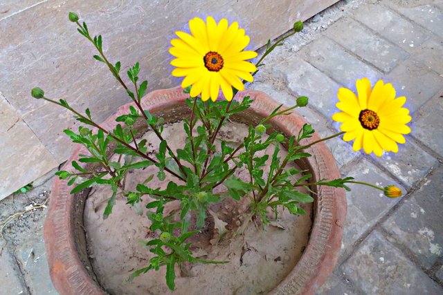 PicsArt_02-06-08.43.16.jpg