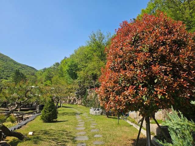 KakaoTalk_20250429_235628220_09.jpg