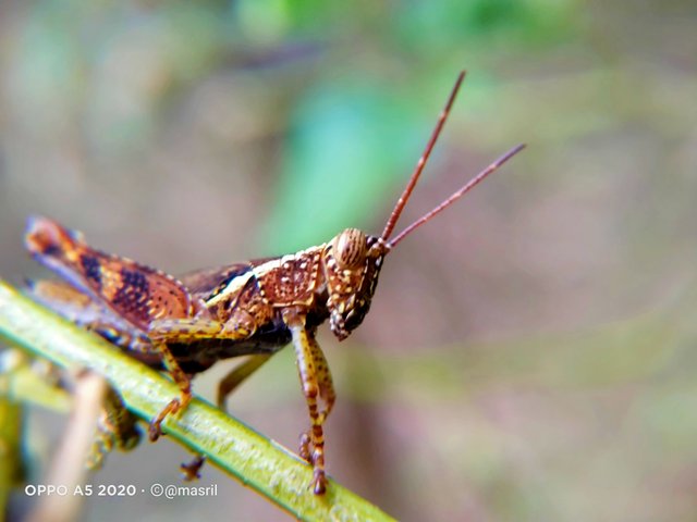 IMG_20220207_165246.jpg
