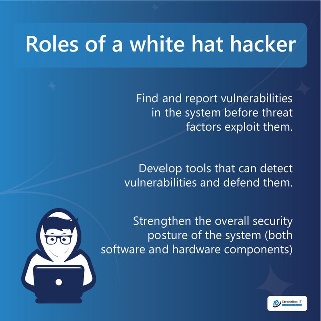 Roles of a white hat hacker.jpg