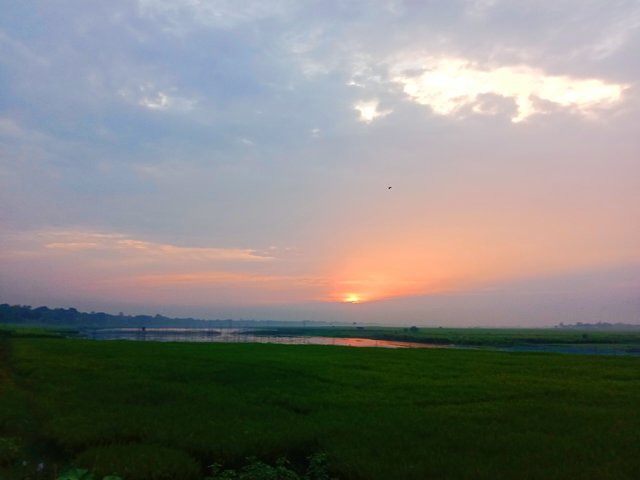 IMG_20250501_201309.jpg