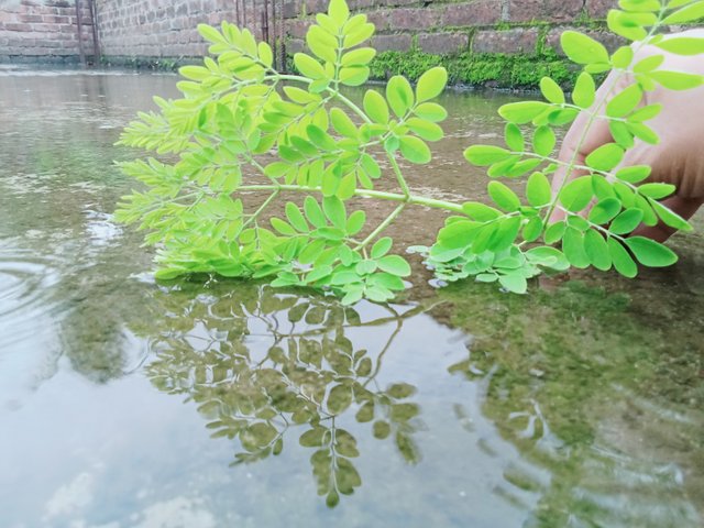 IMG20250530105305.jpg