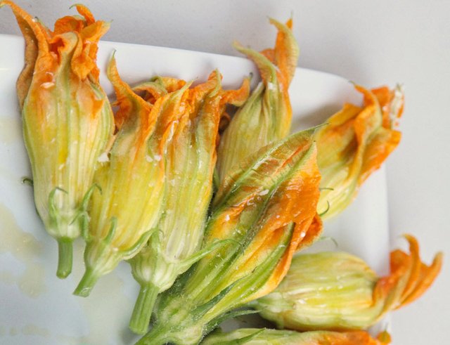 stuffed squash flowers.jpg