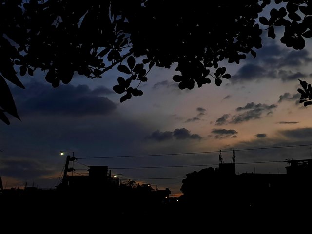 20250625_190718.jpg