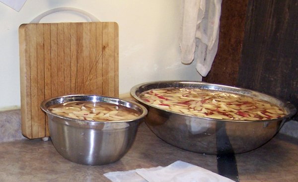 French Fries - cut, in water crop Aug. 2018.jpg