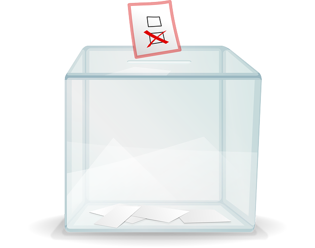 ballot-box-32384_640.png