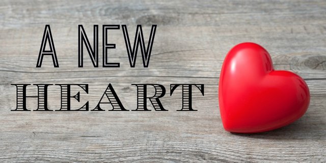 A-New-Heart-_Blog_pic.jpg