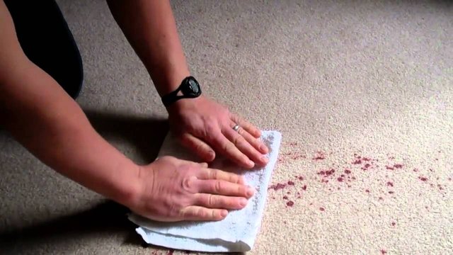 wine stained carpet.jpg