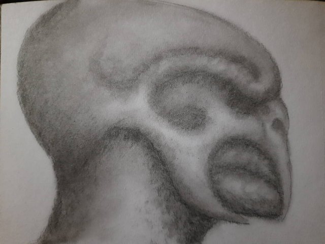 20250418_105944.jpg