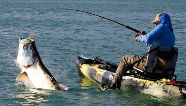 Kayak-fishing-Matt-harris-585x333.jpg