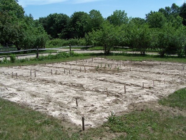 New Herb garden - Azomite spread, peppermint planted crop June 2016.jpg