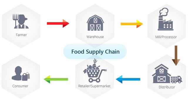 food-supply-chain.jpg