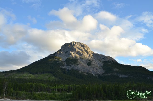 kananaskis9.jpg