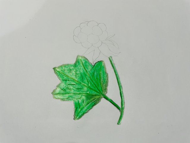 IMG_1886.jpeg