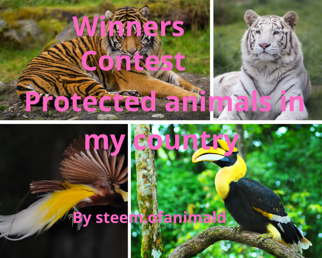Protected animals in my country (1).png