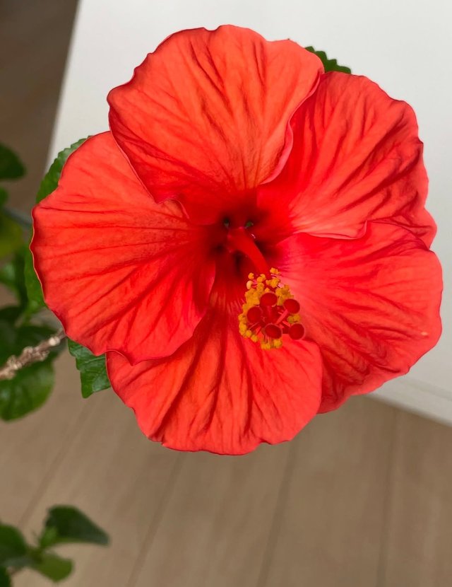 IMG_20250627_095621.jpg