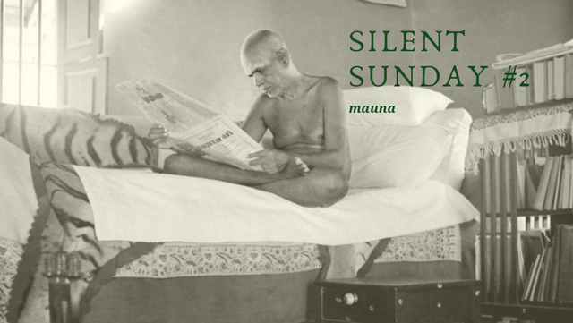 silent sunday #2.png