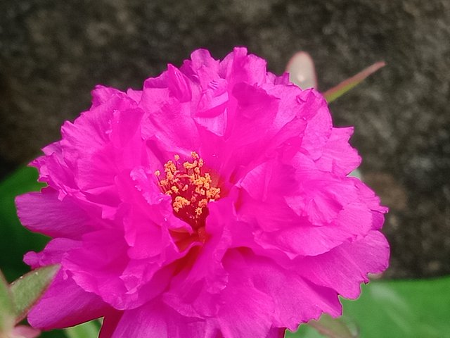 IMG20250604110503.jpg