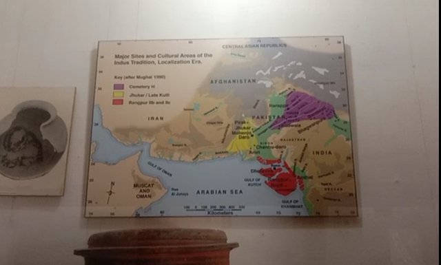 1000030880.jpg