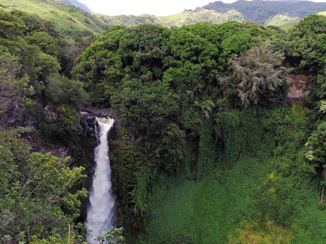 hawaii-410128.jpg