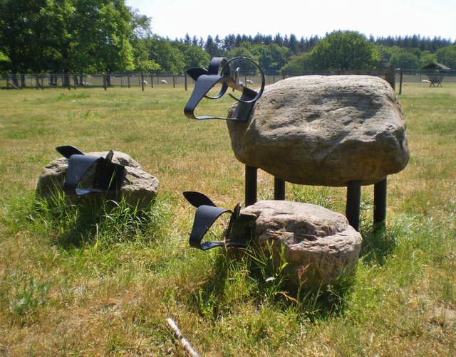 Blaricum_Cees_van_Swieten_schapen_84.jpg