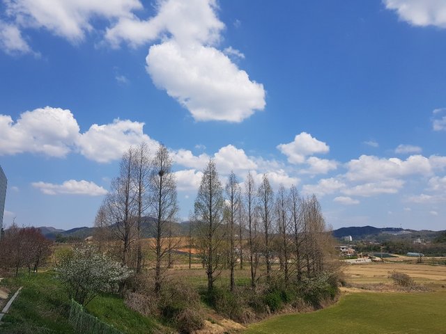 KakaoTalk_20190417_160506317.jpg